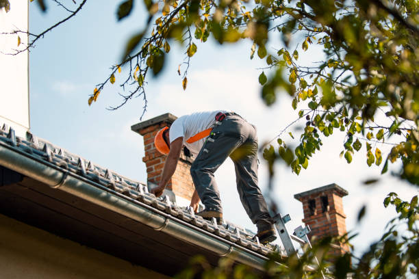 Best Roof Gutter Cleaning  in Cobb Island, MD