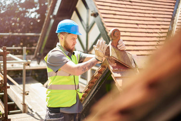 Roof Gutter Cleaning in Cobb Island, MD